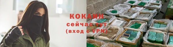 первитин Богданович