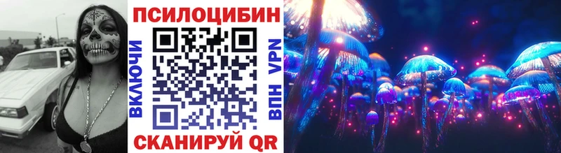 Галлюциногенные грибы Psilocybe  Мензелинск 